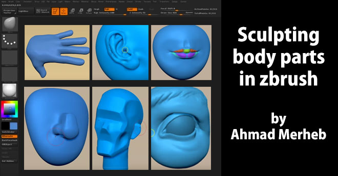 Sculpting body parts in zbrush by Ahmad Merheb – zbrushtuts