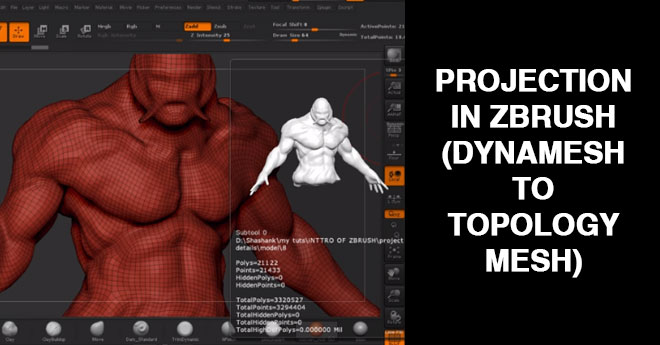 mesh projection zbrush